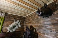 снять баню в Новосибирске снять баню в Новосибирске